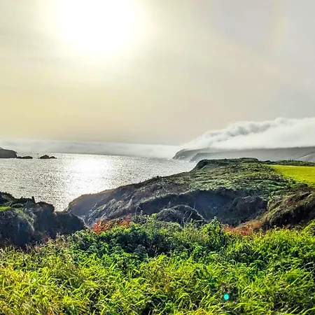 Dom wakacyjny Shore On Valentia Island - Cosy Comfort At The Sea In Kerry