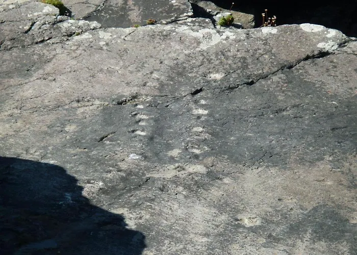 Shore On Valentia Island - Cosy Comfort At The Sea In Kerry Knights Town