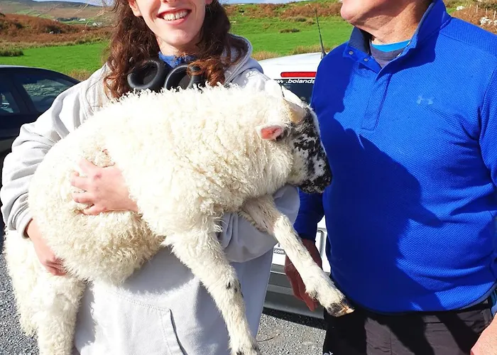 Nyaraló Shore On Valentia Island - Cosy Comfort At The Sea In Kerry *
