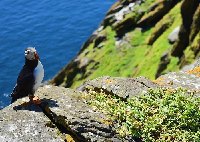 Nyaraló Shore On Valentia Island - Cosy Comfort At The Sea In Kerry
